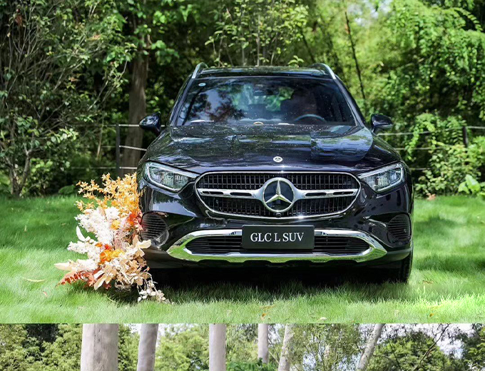 南宁-荔园维景ariana文化艺术中心